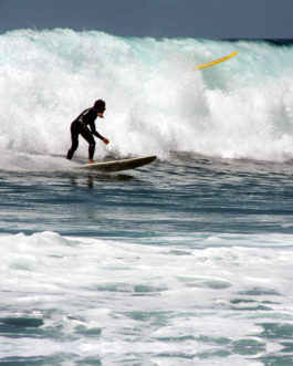 Beax150 – Surfing